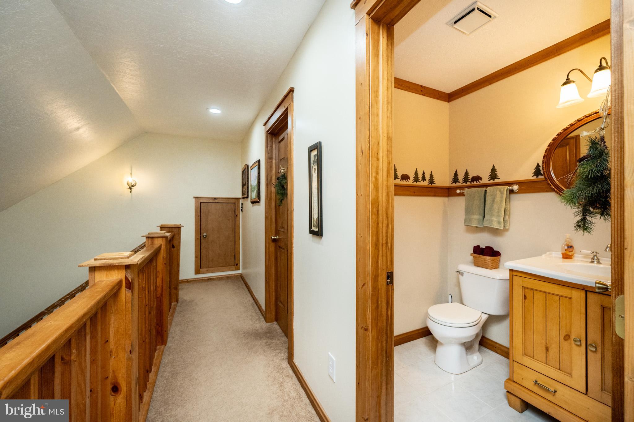 YOUGHIOUGHENY MOUNTAIN - Residential