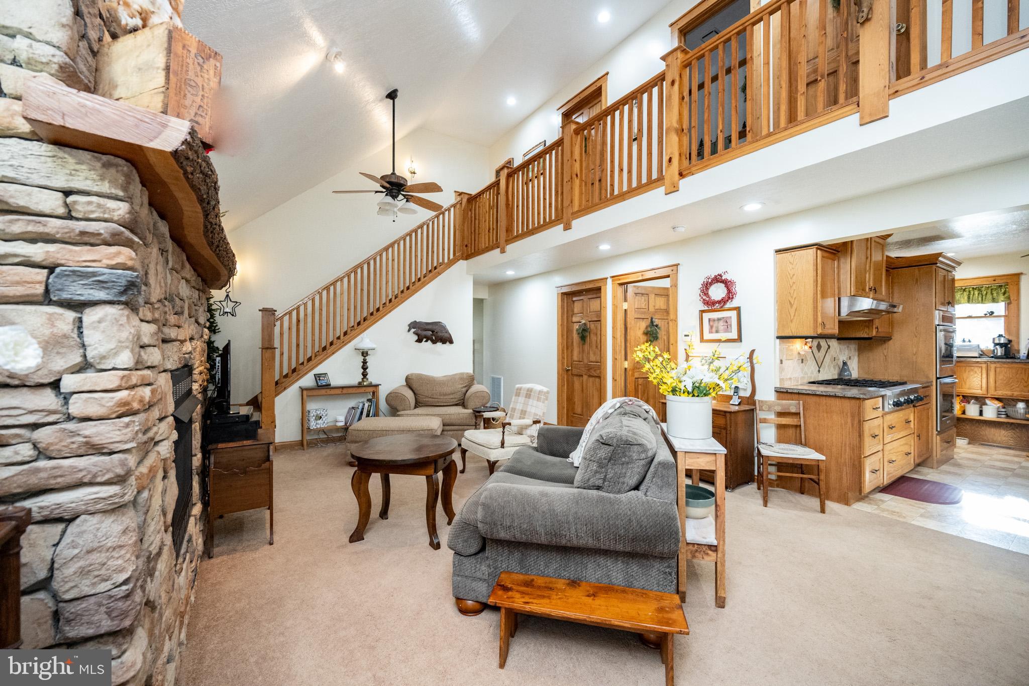 YOUGHIOUGHENY MOUNTAIN - Residential