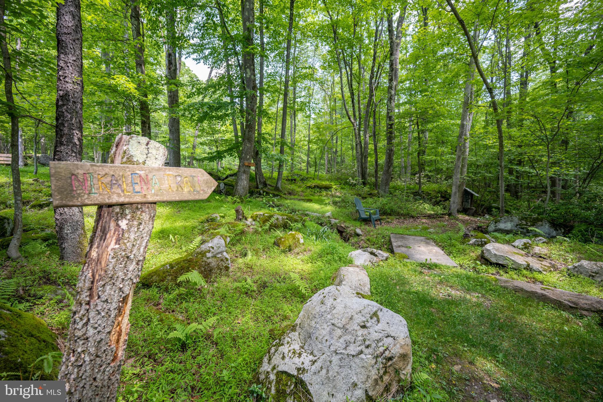 YOUGHIOUGHENY MOUNTAIN - Residential