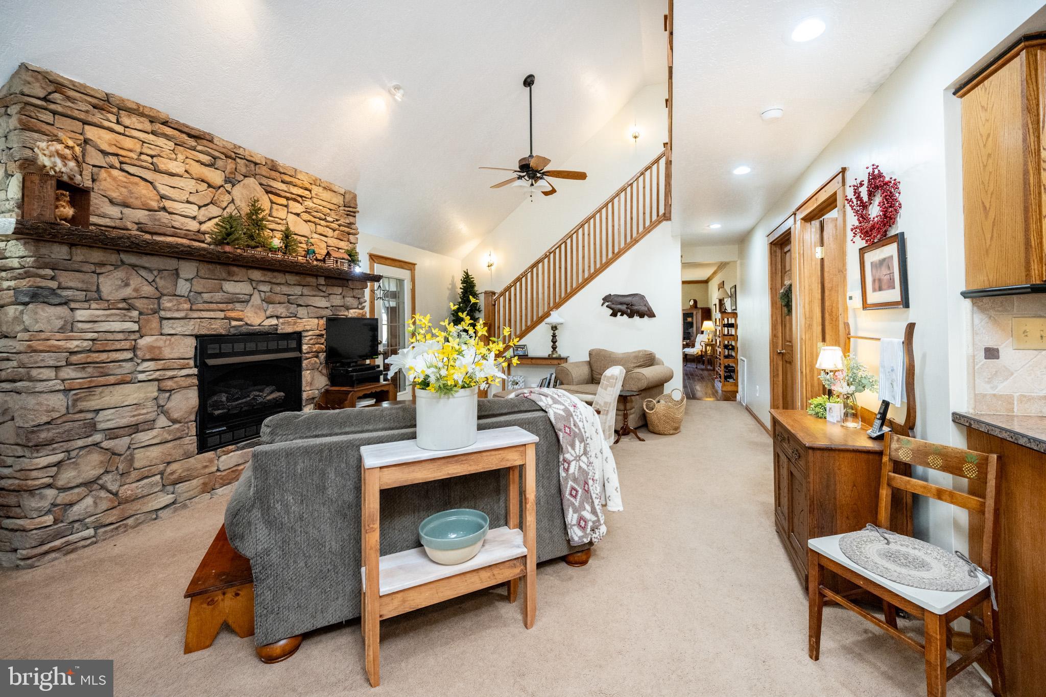 YOUGHIOUGHENY MOUNTAIN - Residential