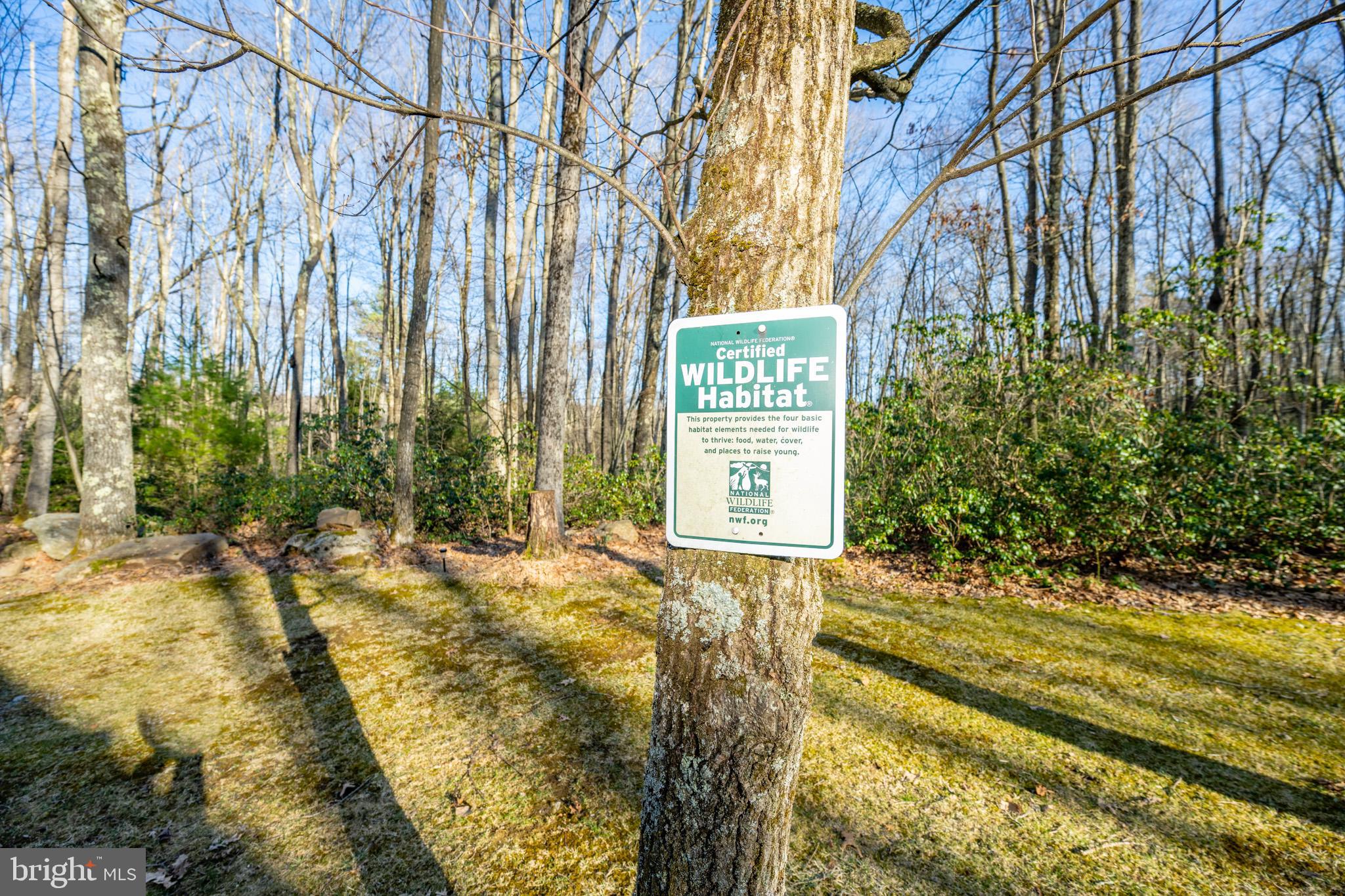 YOUGHIOUGHENY MOUNTAIN - Residential
