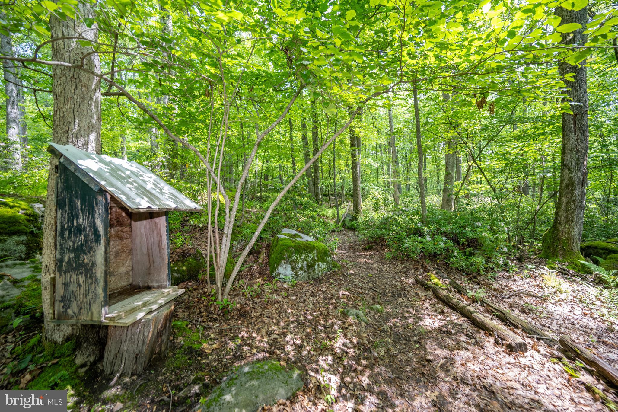 YOUGHIOUGHENY MOUNTAIN - Residential