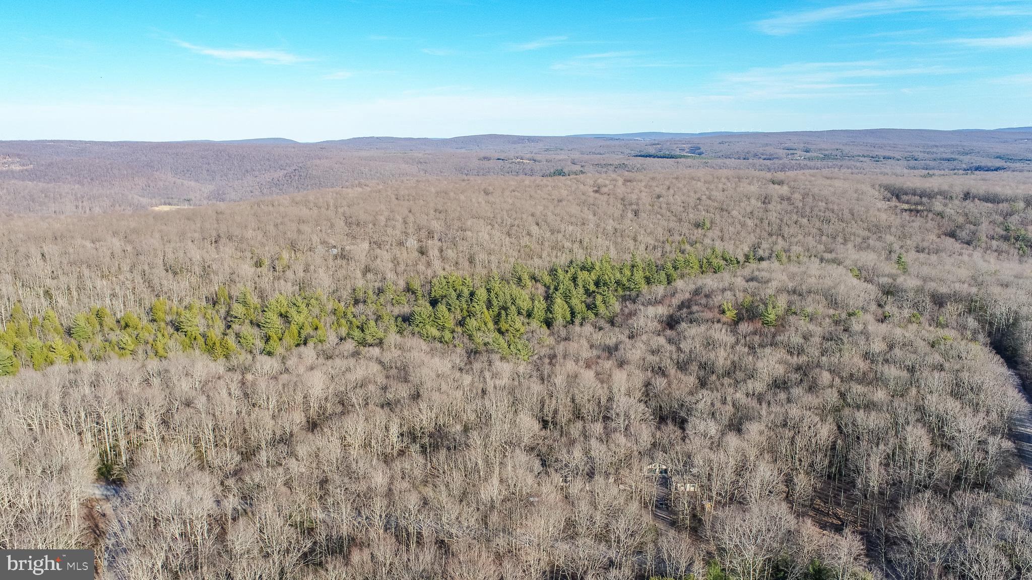 YOUGHIOUGHENY MOUNTAIN - Residential