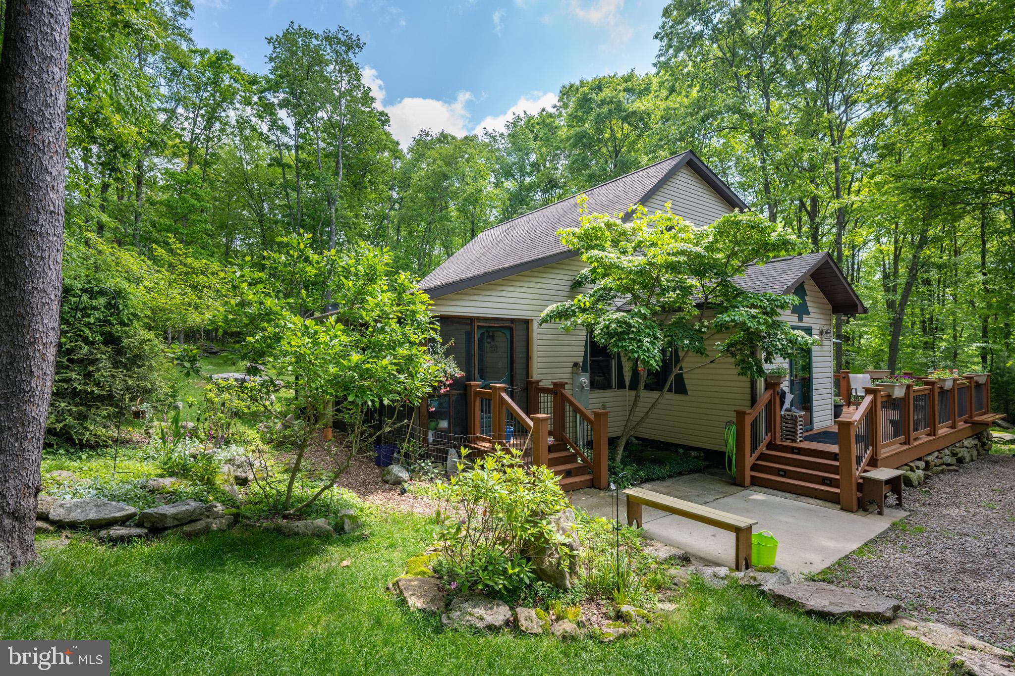 YOUGHIOUGHENY MOUNTAIN - Residential