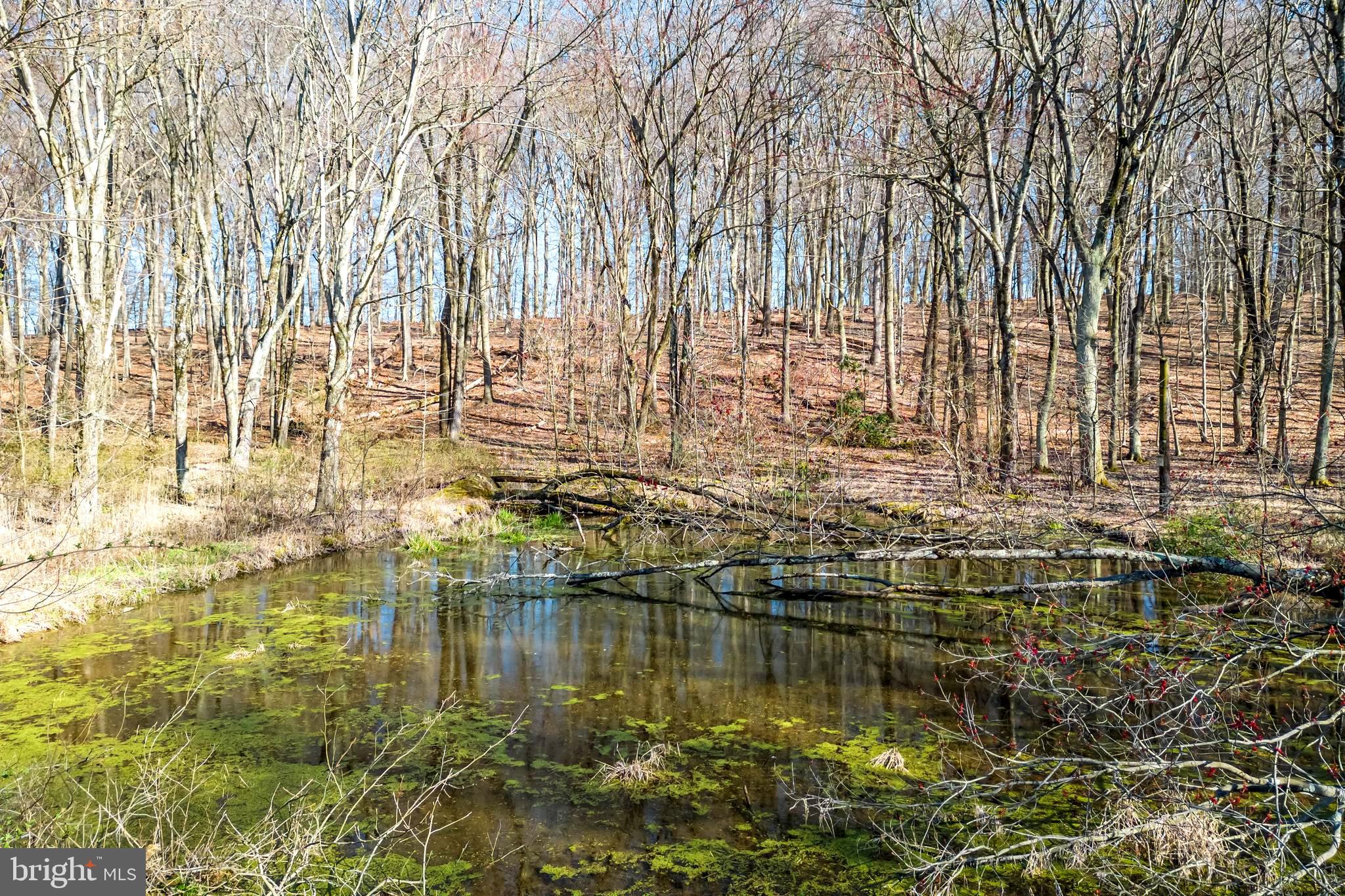 DOYLESTOWN - Residential