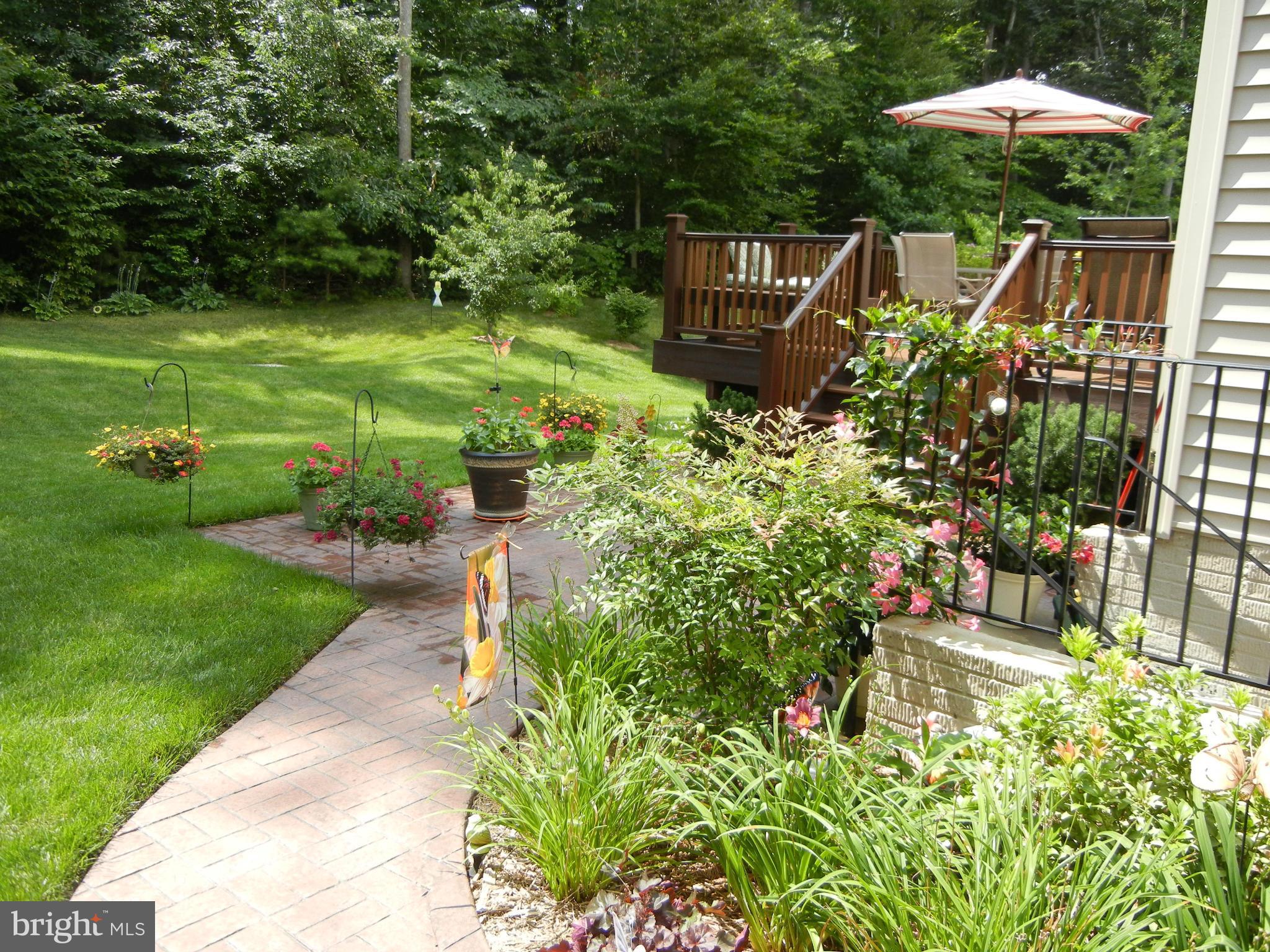 COLES RUN/PARKWAY WEST - Residential