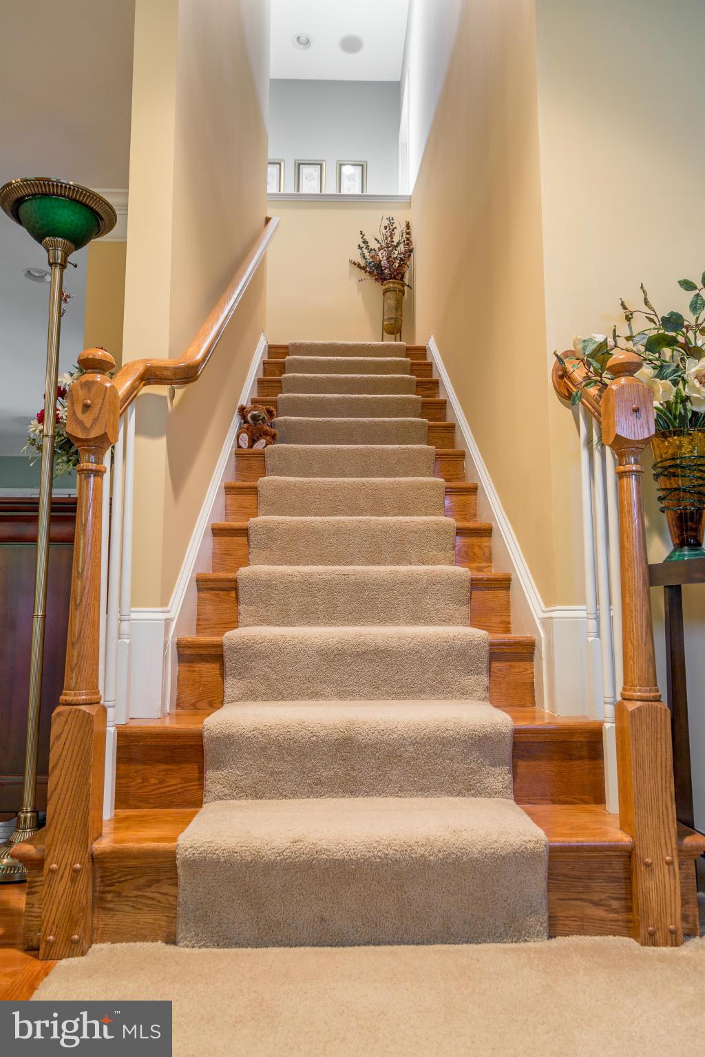 COLES RUN/PARKWAY WEST - Residential