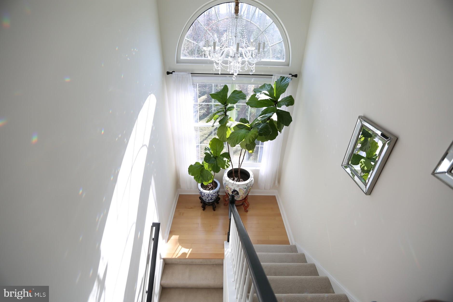 CYPRESS LANDING - Residential