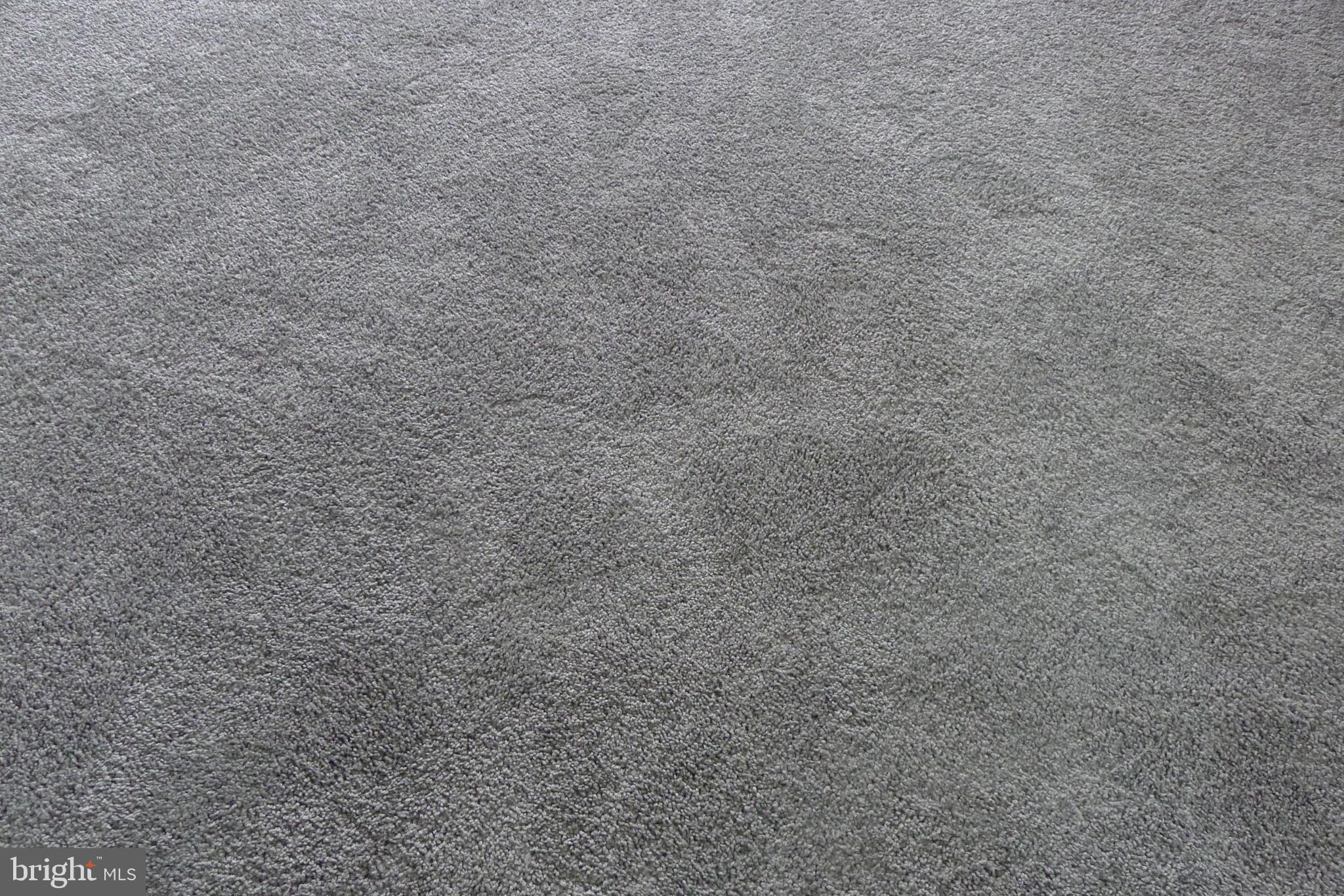 PINES CONDOMINIUM - Residential Lease