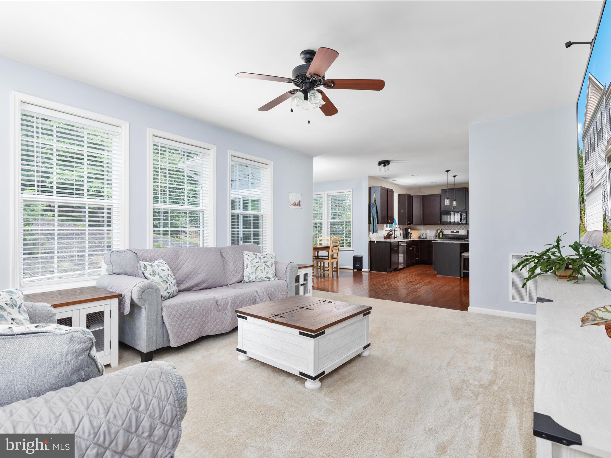 LAKE HOLIDAY ESTATES - Residential