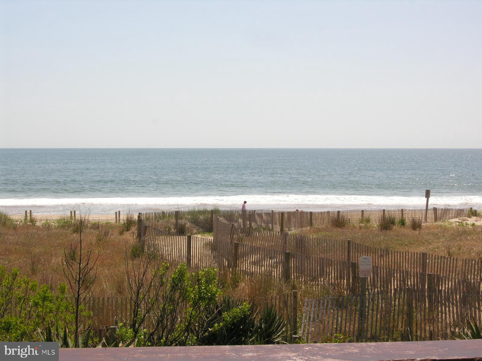 "WILD WAVE" - Residential