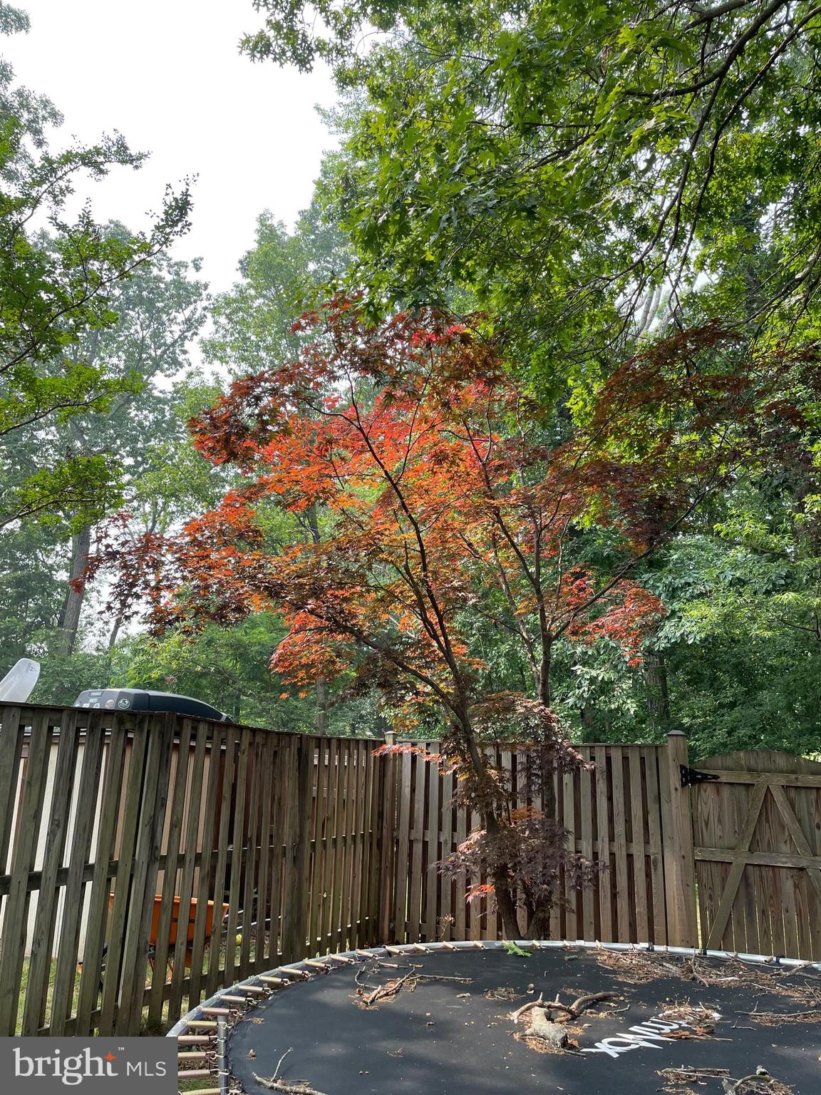 CHESTNUT HILL COVE - Residential