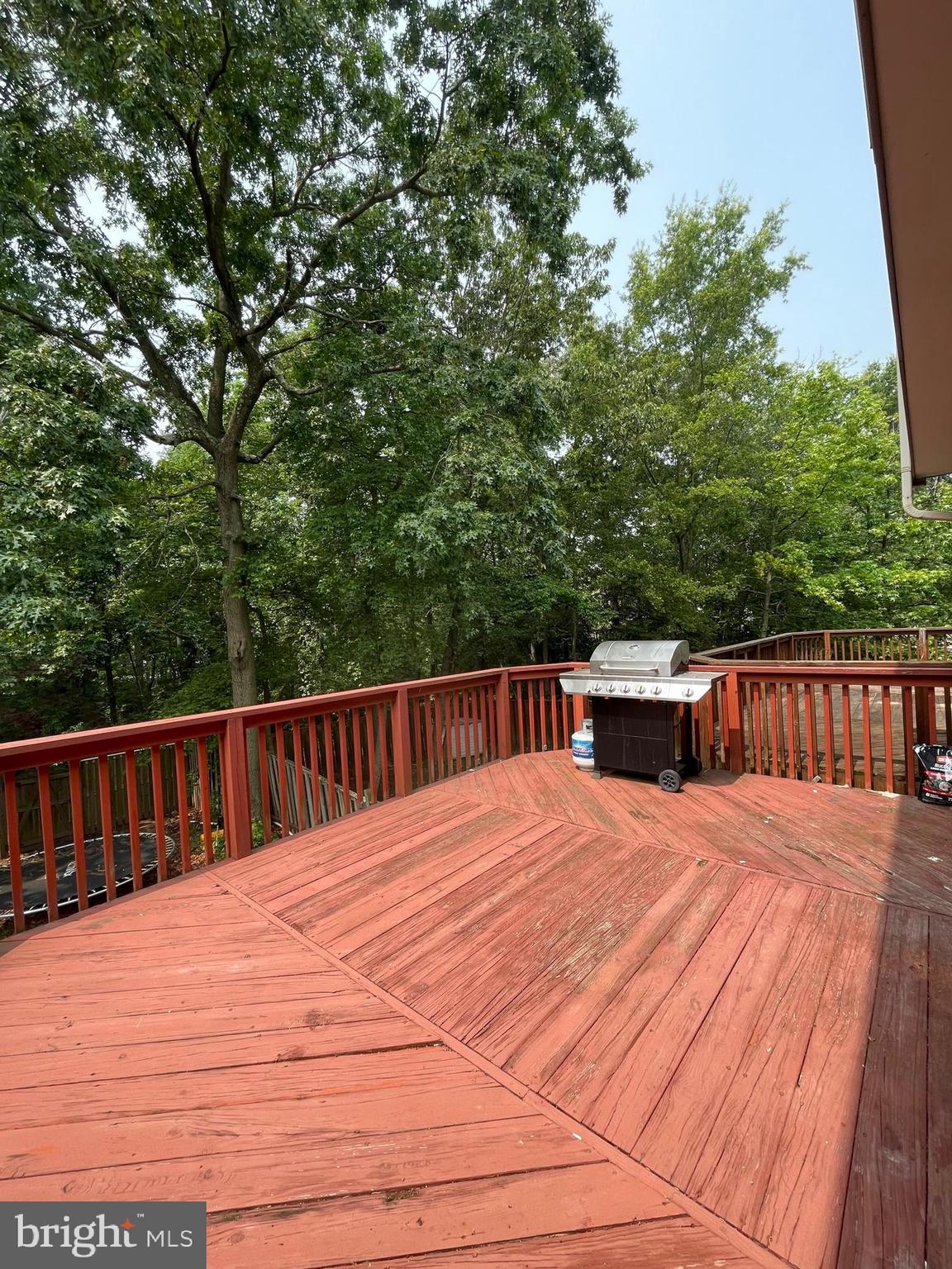 CHESTNUT HILL COVE - Residential