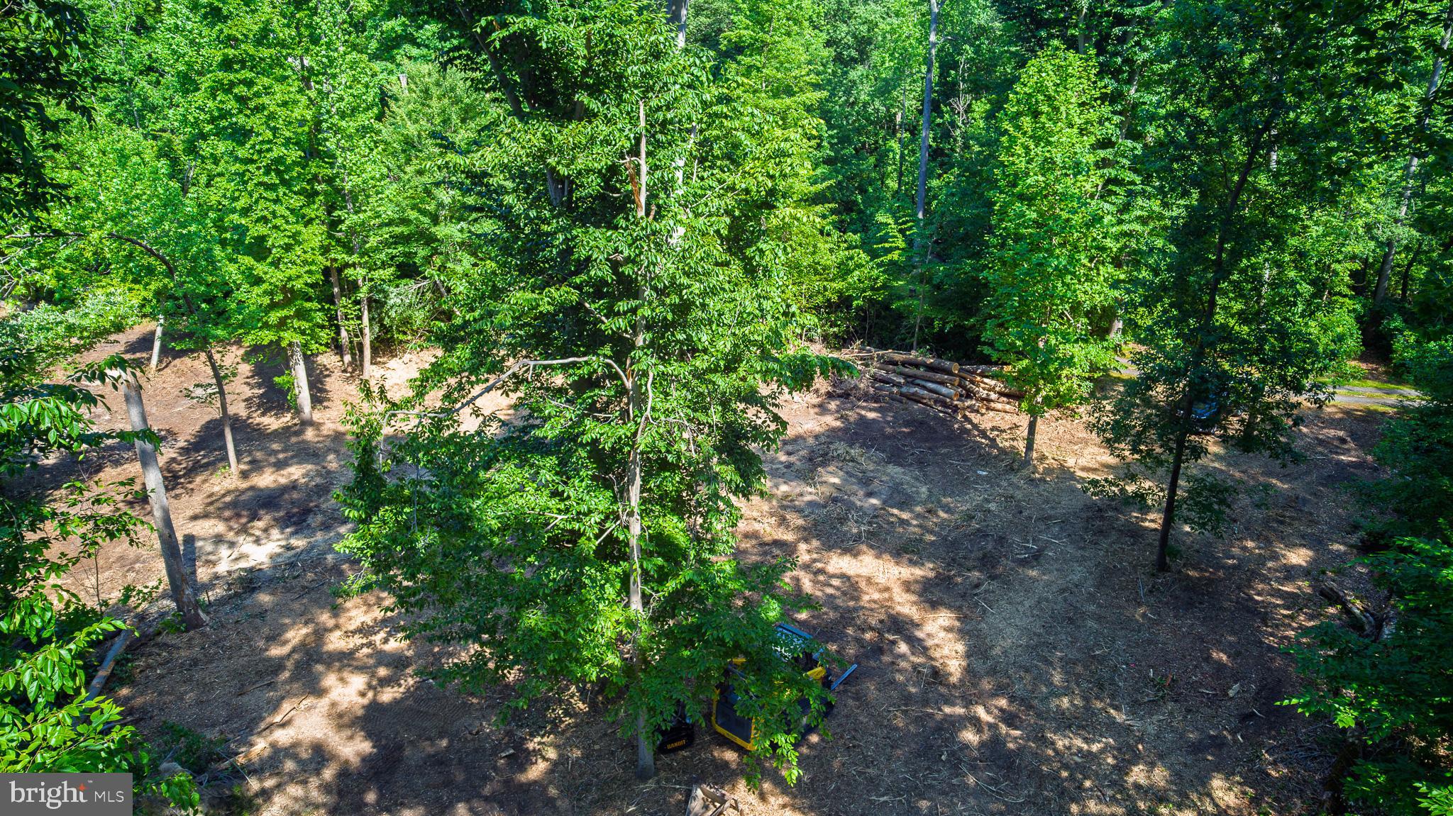 583 BLACKBIRD LANDING ROAD