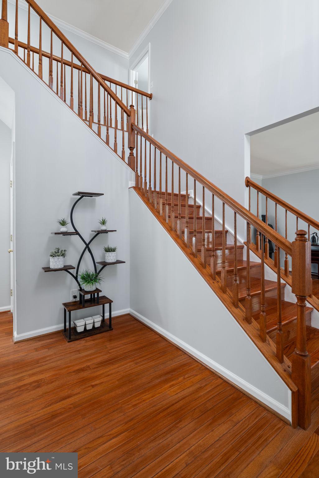 ASHLAND - Residential