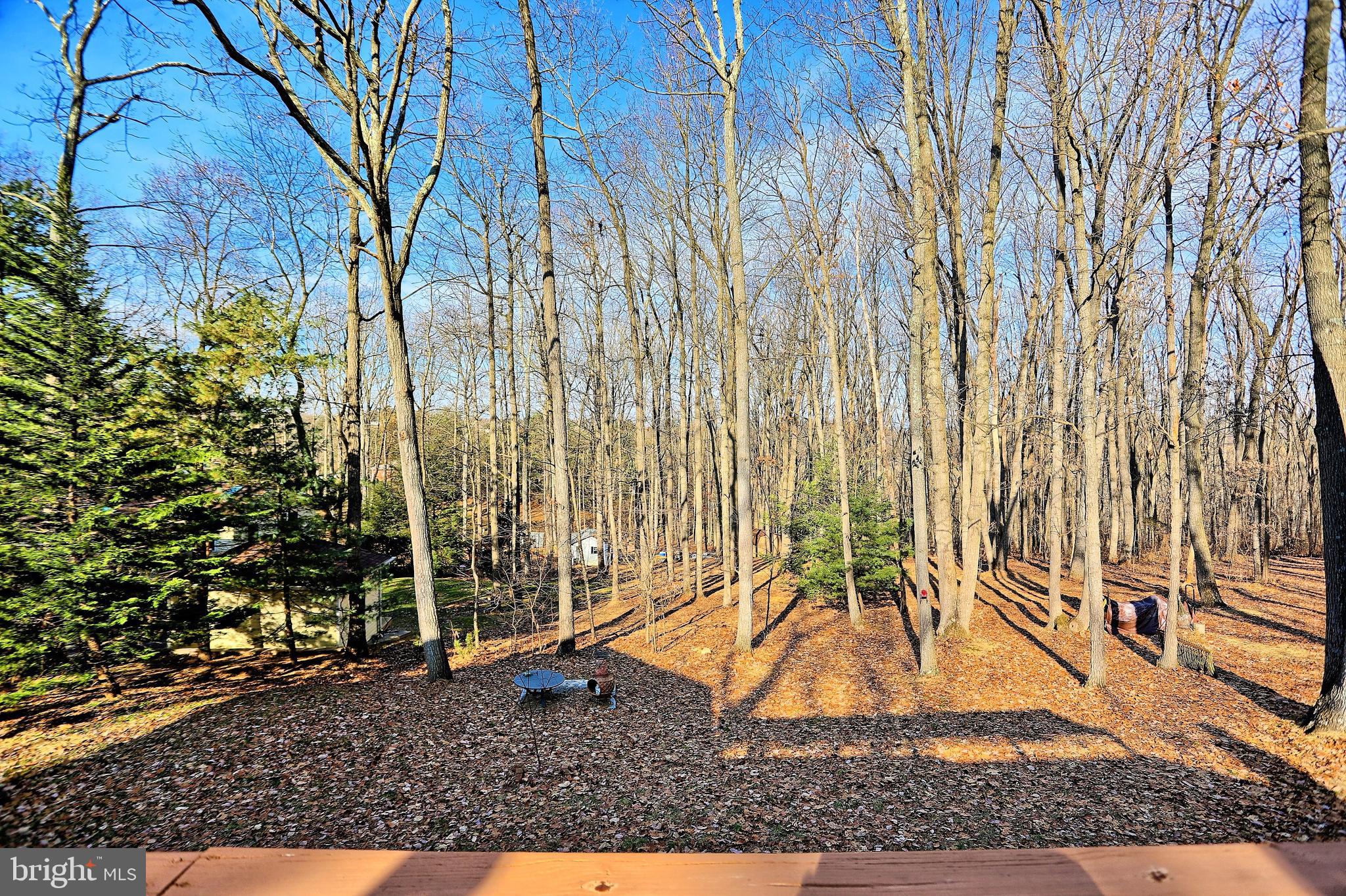 MULLER - Residential