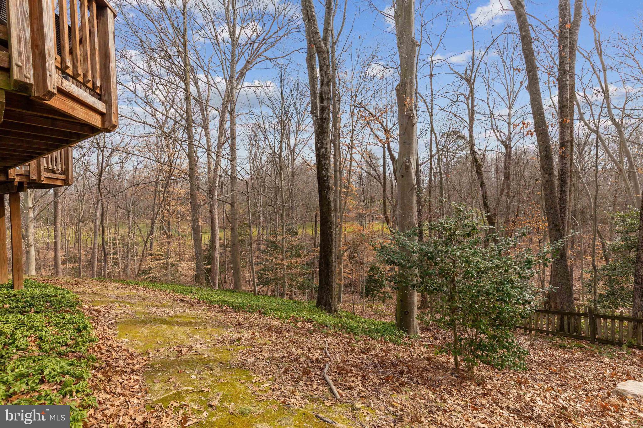 LAKE RIDGE - SPRINGWOODS - Residential