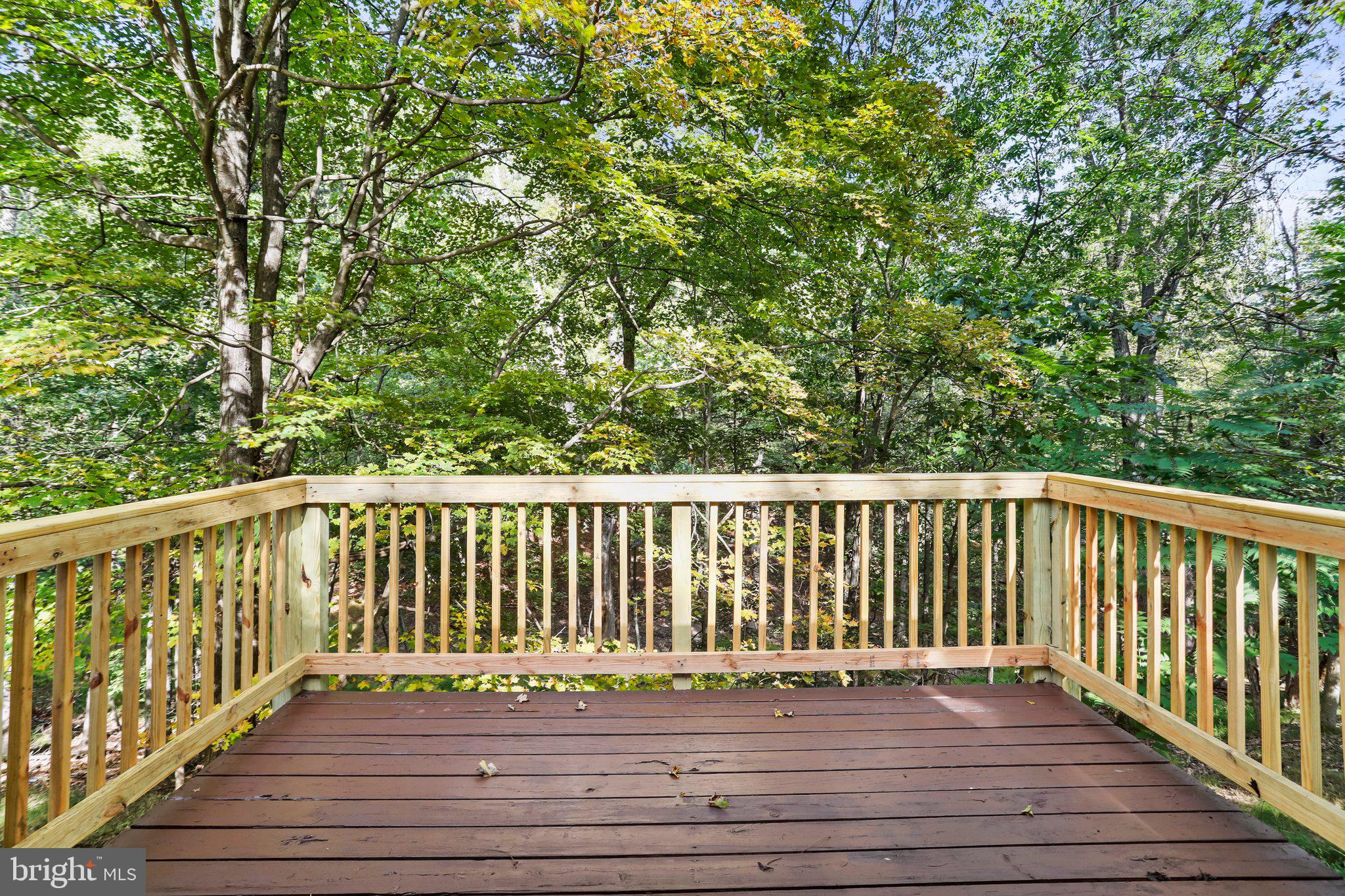 THE WOODS - Residential