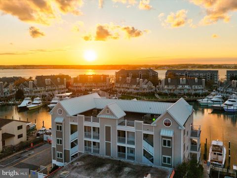 310 13TH STREET 302 OCEAN CITY MD 21842