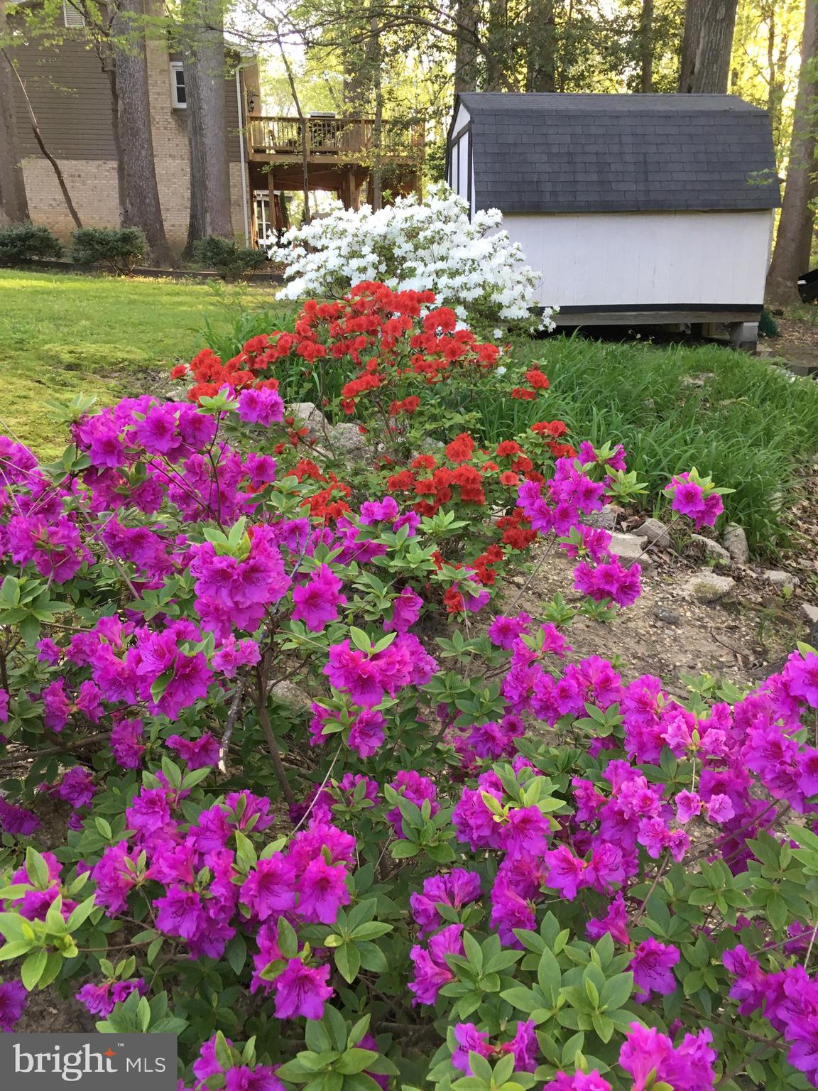 RUSTIC HILLS - Residential