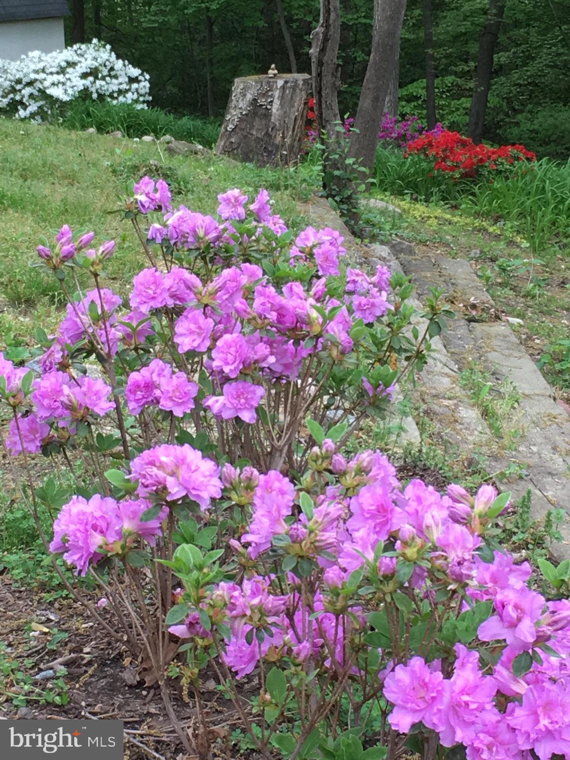 RUSTIC HILLS - Residential