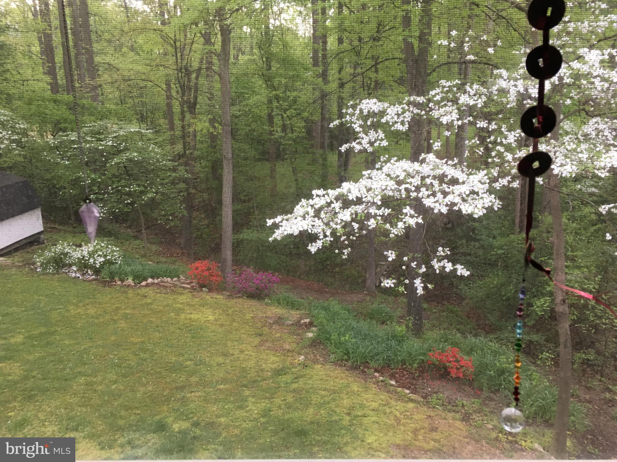 RUSTIC HILLS - Residential