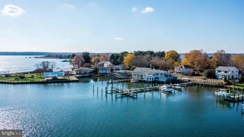 3944 OYSTER HOUSE ROAD BROOMES ISLAND MD 20615