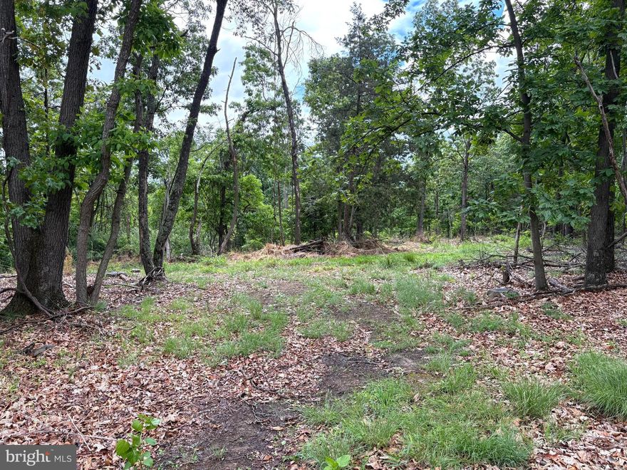 Some properties are measured in acres. This one is measured in freedom. Tucked deep in the heart of Hampshire County, just off Middle Ridge Road, this 40.15-acre unrestricted tract is the kind of land people come to West Virginia looking for. It is private, wooded, usable, and set up for someone who wants room to hunt, shoot, build, camp, ride, and actually enjoy the outdoors without a rulebook hanging over their head. This property has the ingredients that matter. There is a pond, a solid interior road, plenty of wooded cover, and enough acreage to use the land the way it was meant to be used. Set up deer camp. Build a cabin. Clear a homesite. Put in food plots. Ride ATVs. Spend weekends around a fire. Bring your boots, your rifle, your side-by-side, and your plans. If you are serious about having your own place to hunt or shoot, this is one you need to walk. Forty acres gives you room to spread out, set up stands, manage the property, and enjoy your ground without feeling boxed in. This is not polished-up subdivision land. It is honest Hampshire County ground with real outdoor appeal. The location makes it even better. You are close to the South Branch of the Potomac River, less than one hour from the I-81 corridor, and under two hours from Washington, D.C. That puts you deep enough in West Virginia to feel like you got away, but still close enough for a weekend run. Forty acres. Unrestricted. Pond. Interior road. Hunting. Privacy. Freedom.
If you have been looking for a real piece of West Virginia ground, this one deserves a serious look.