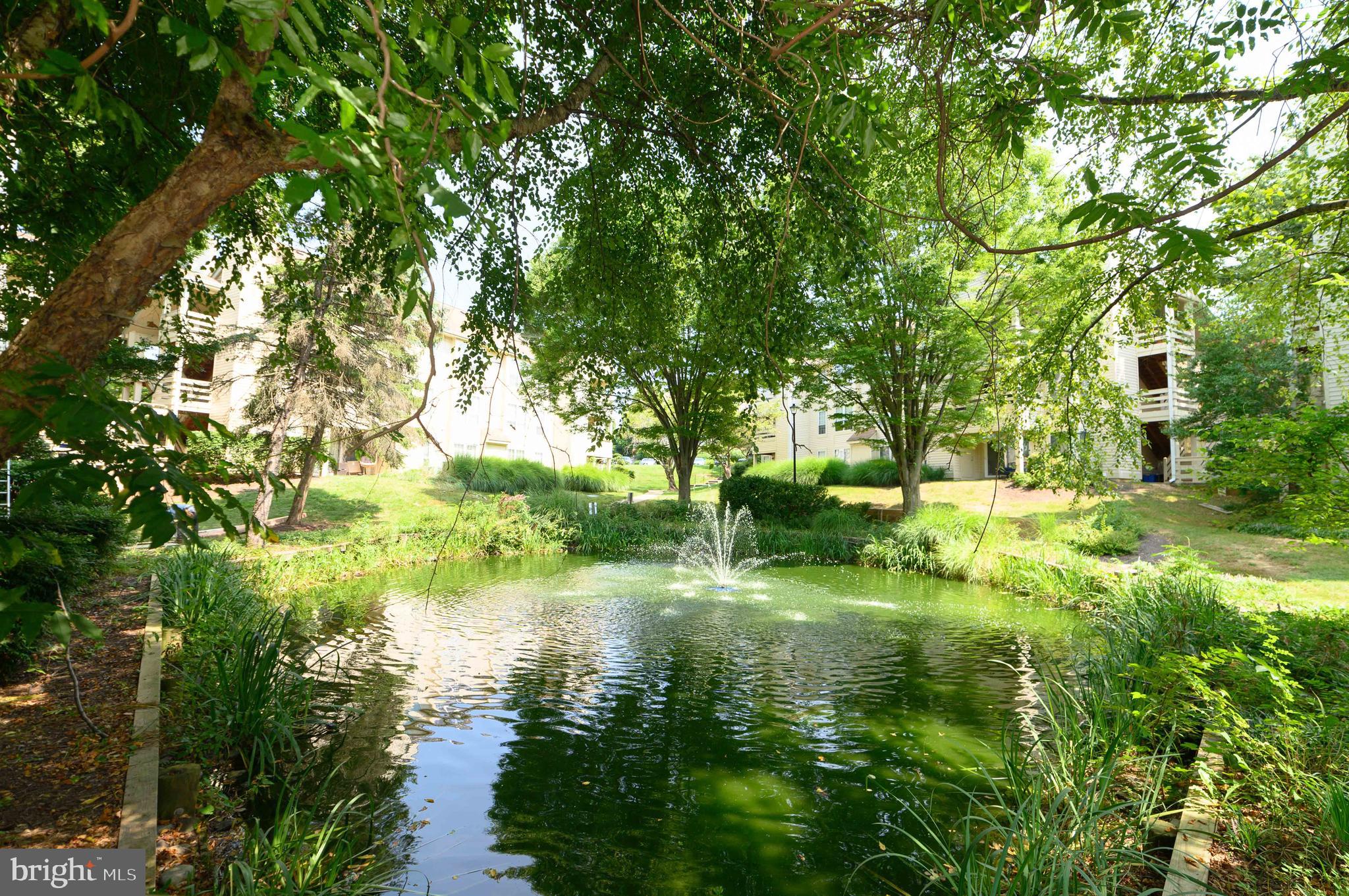 CARR AT PINECREST - Residential