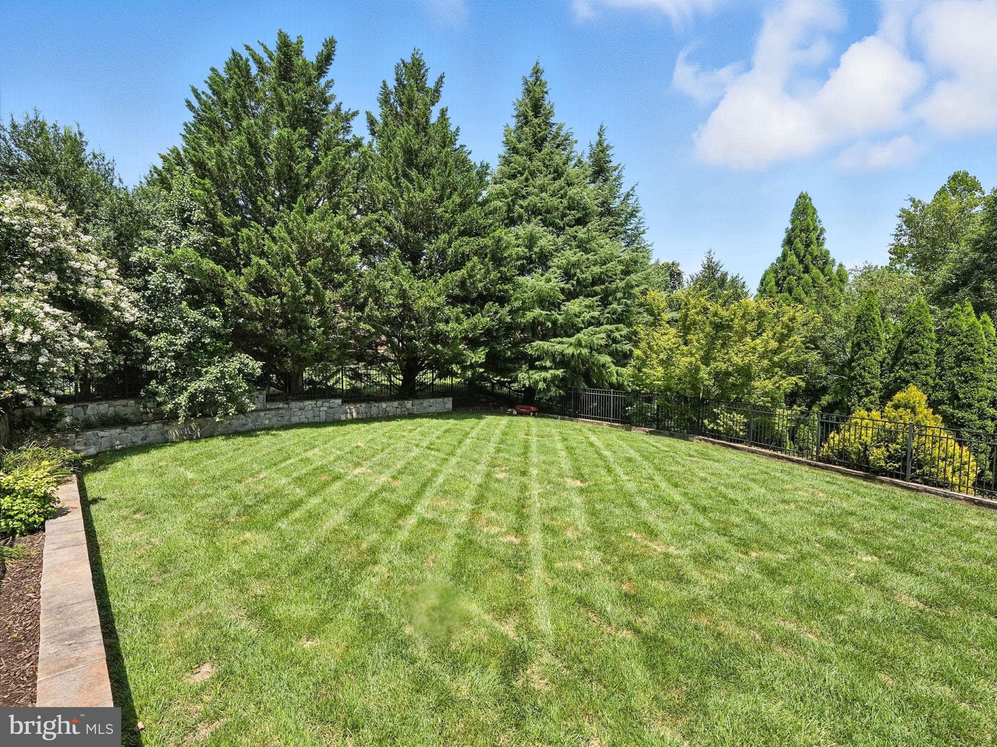 HUNTER MILL ESTATES - Residential