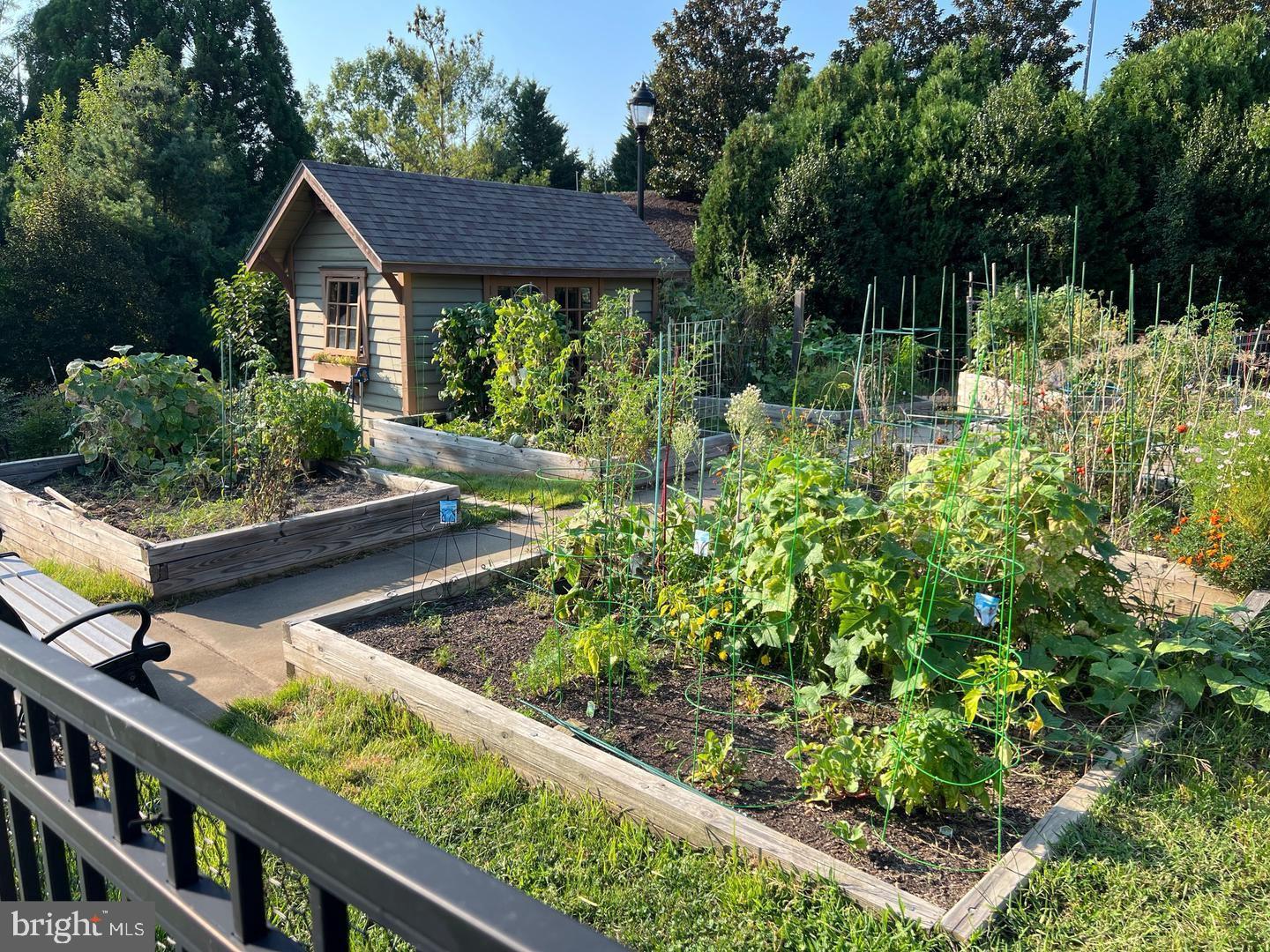 CELEBRATE VIRGINIA NORTH - Residential