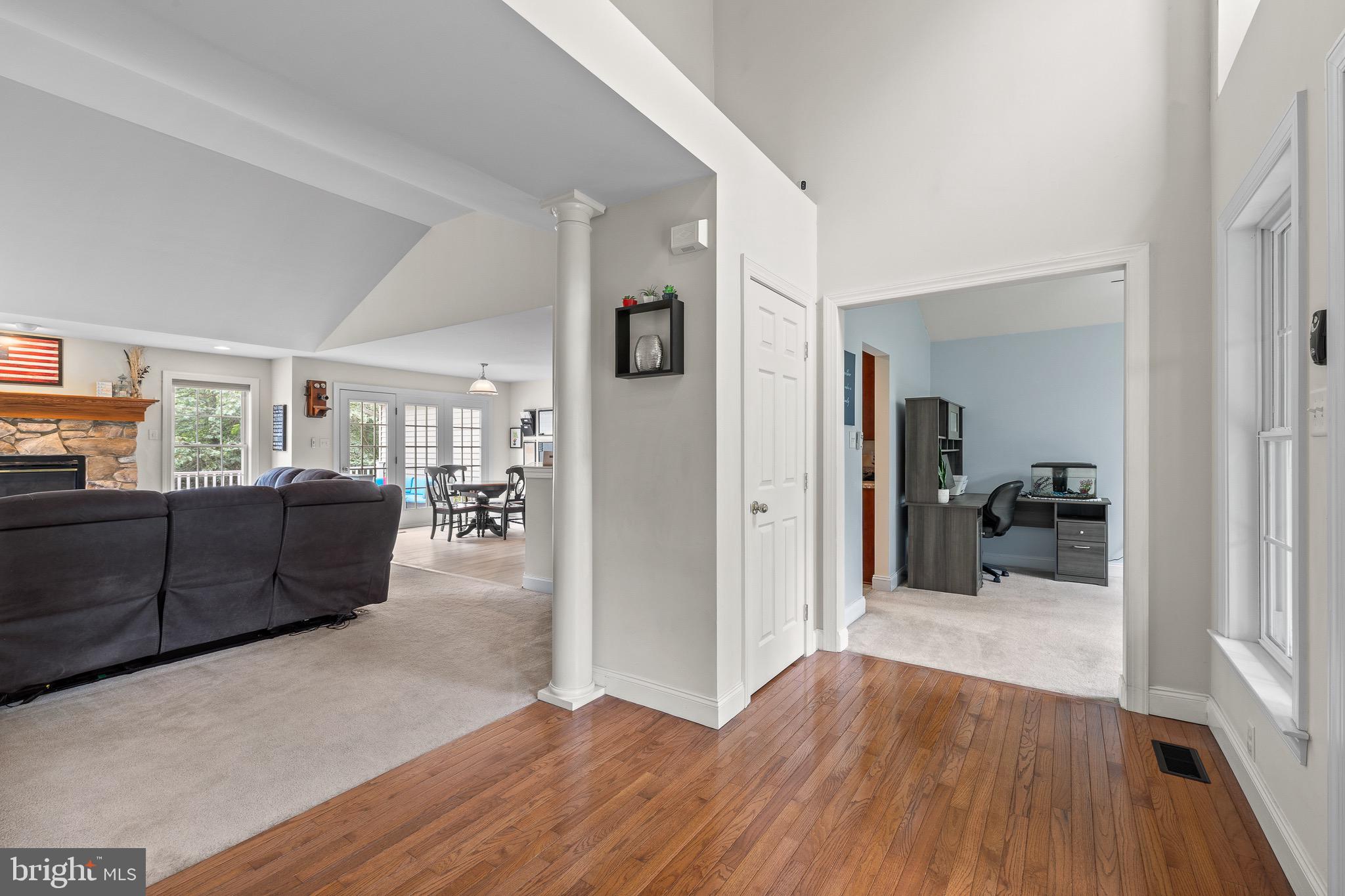 205 PINE TREE DRIVE