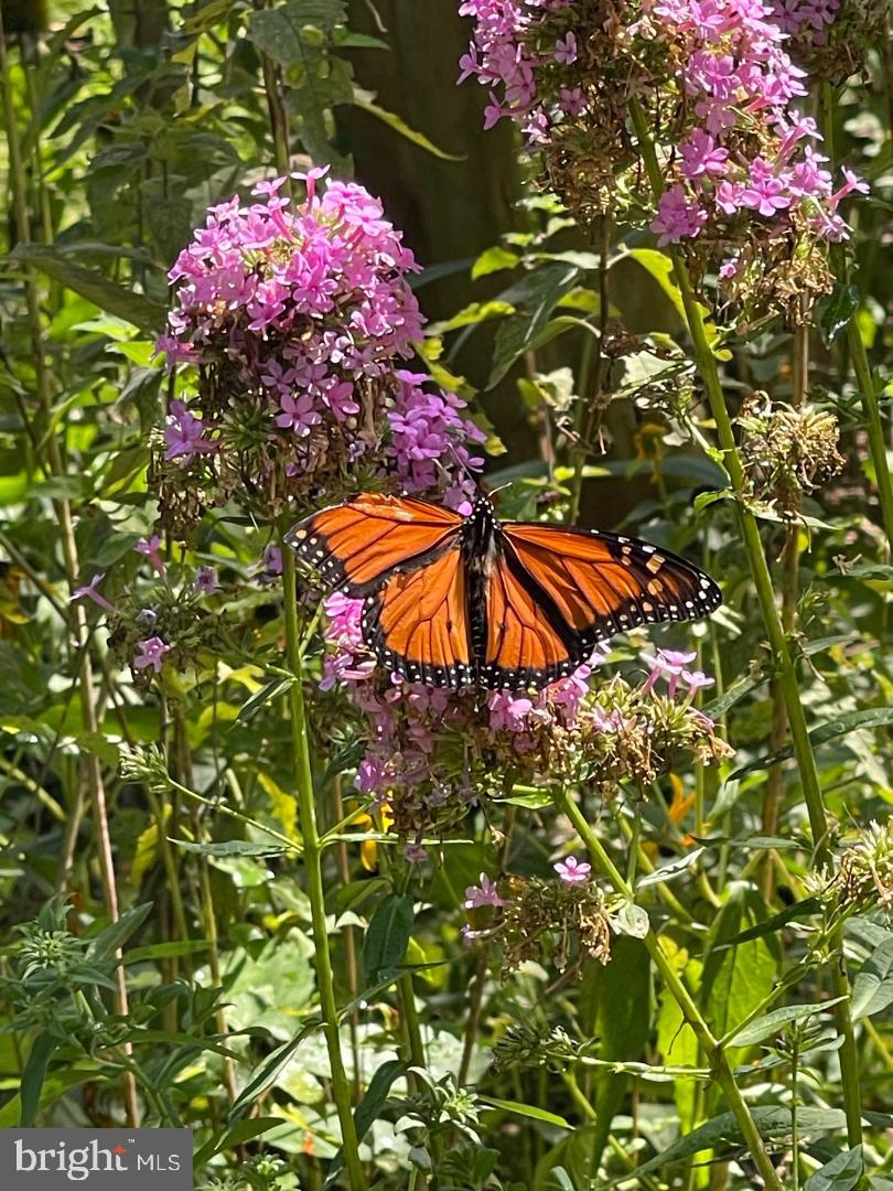 BEECH CREEK - Residential