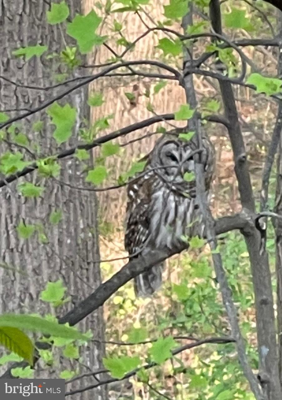 BEECH CREEK - Residential