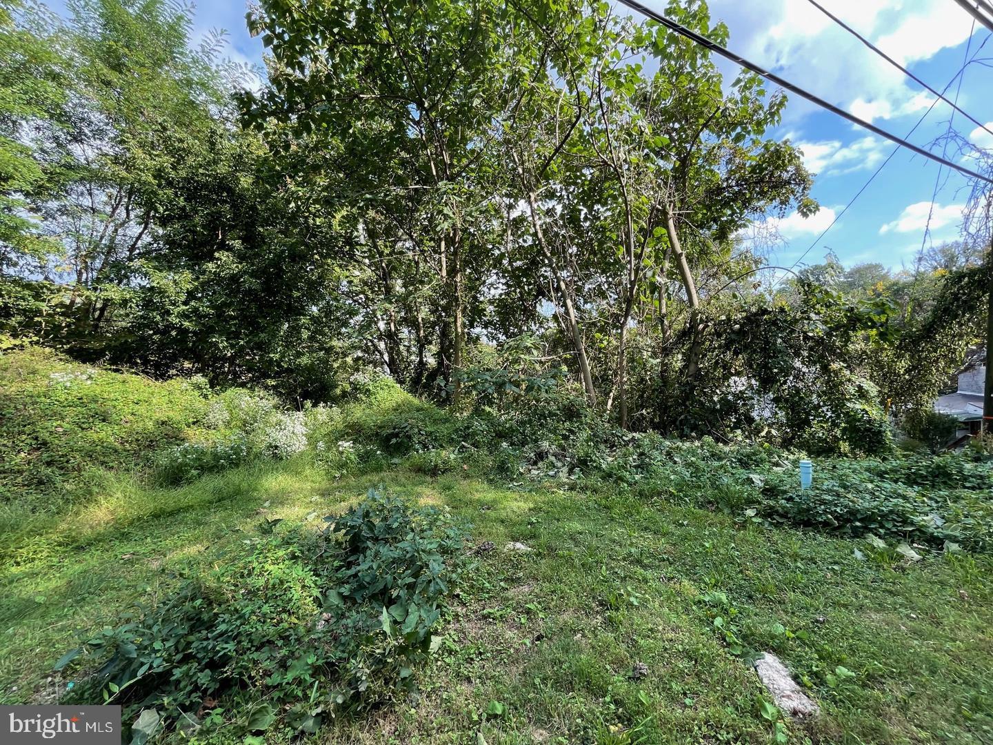 WESTBROOK PARK - Land