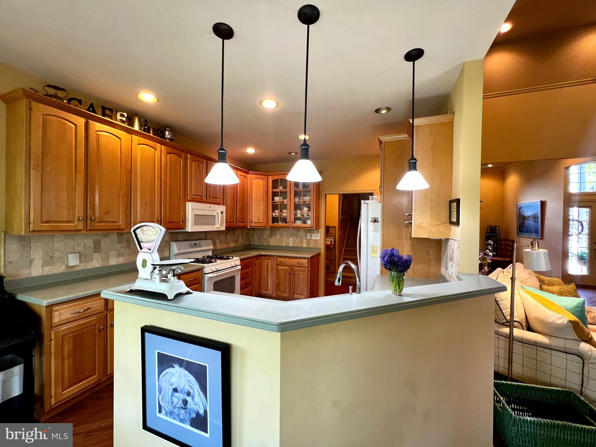 WINDSOR CROSSING - Residential