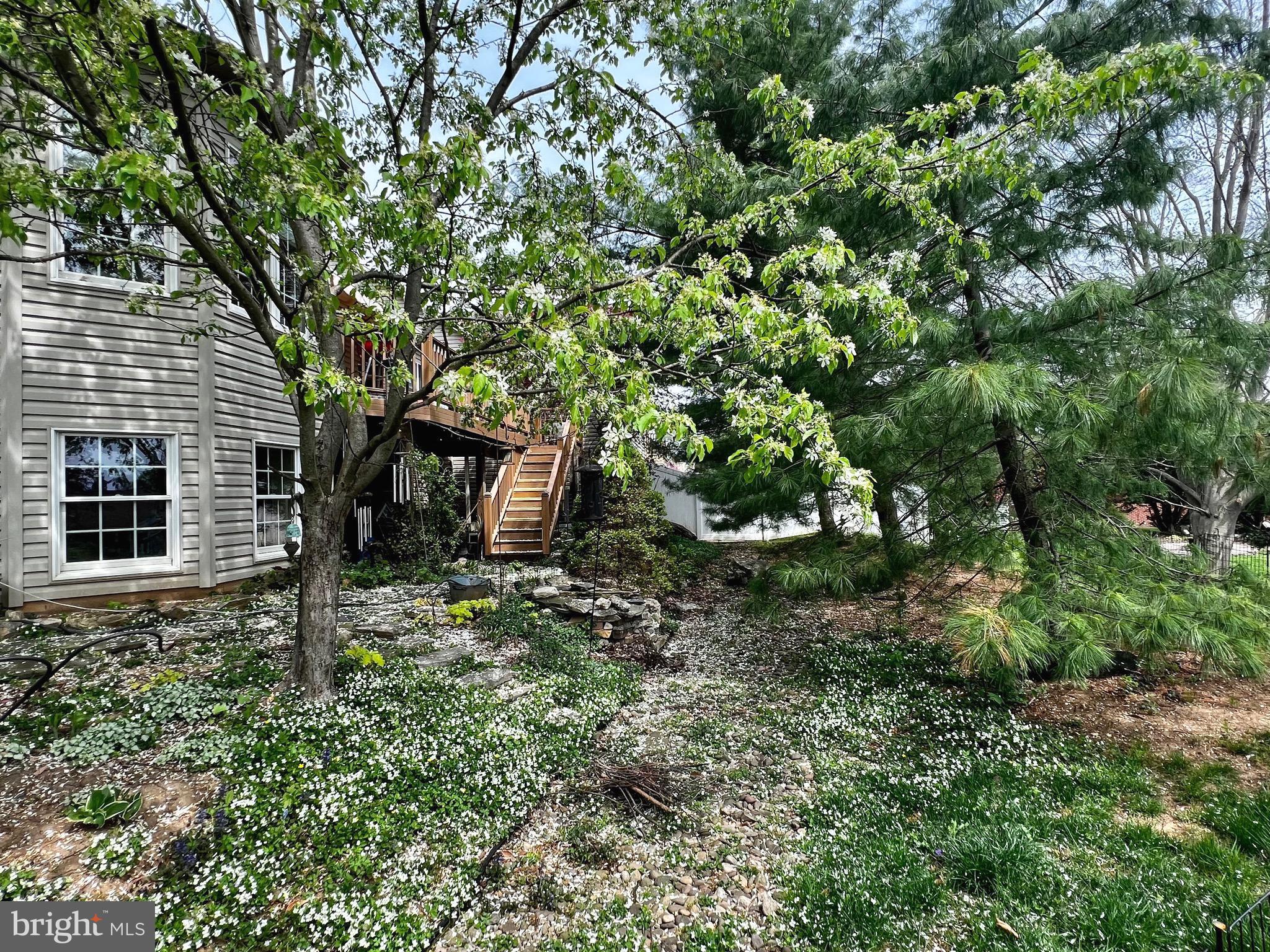 WINDSOR CROSSING - Residential