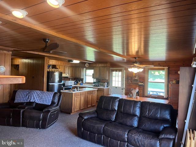 PARADISE RIDGE - Residential