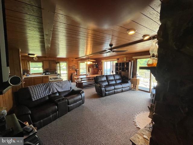 PARADISE RIDGE - Residential