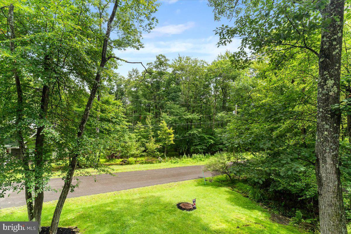 485 REDWOOD DRIVE