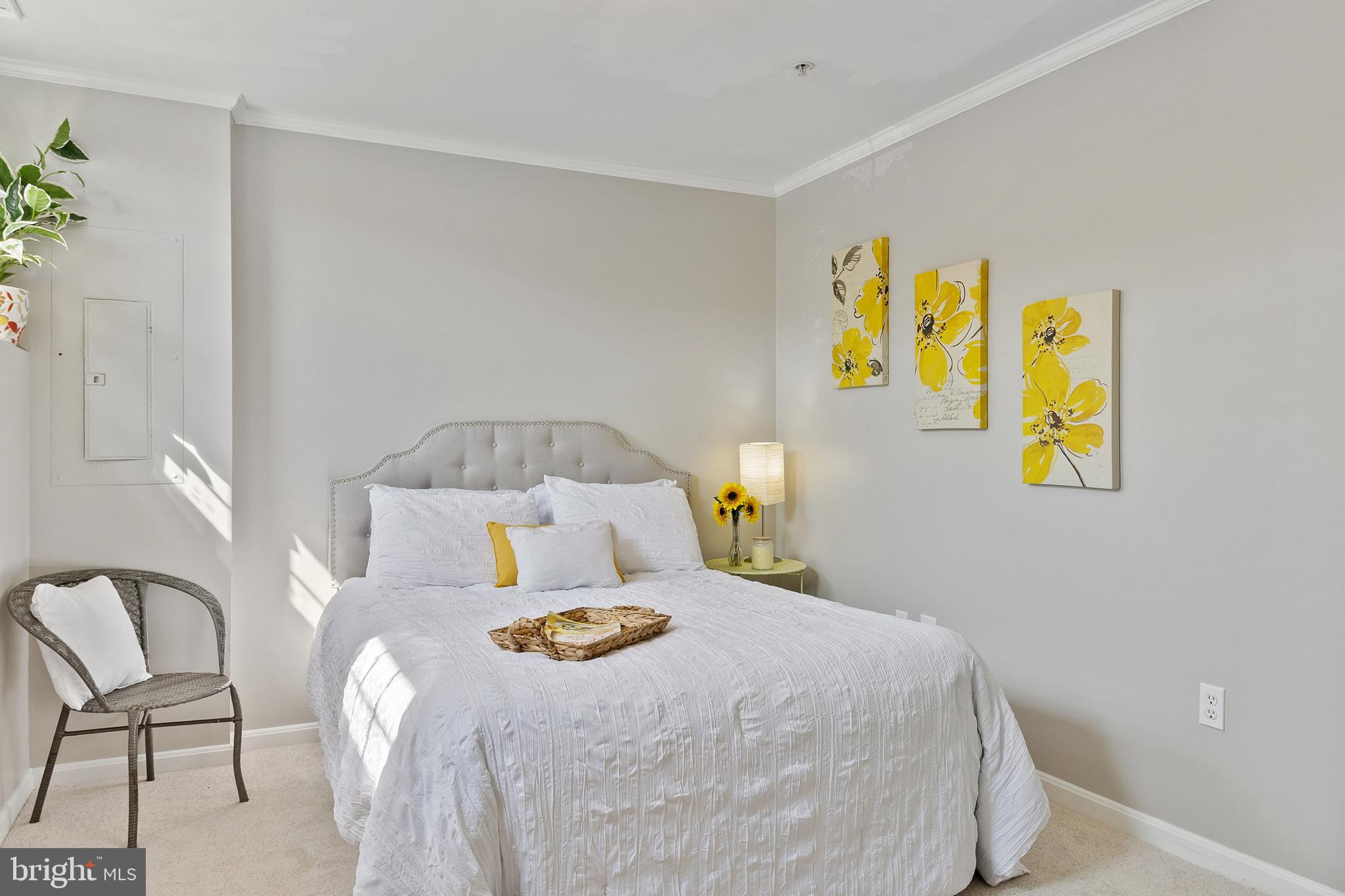 SNOWDEN RIDGE - Residential