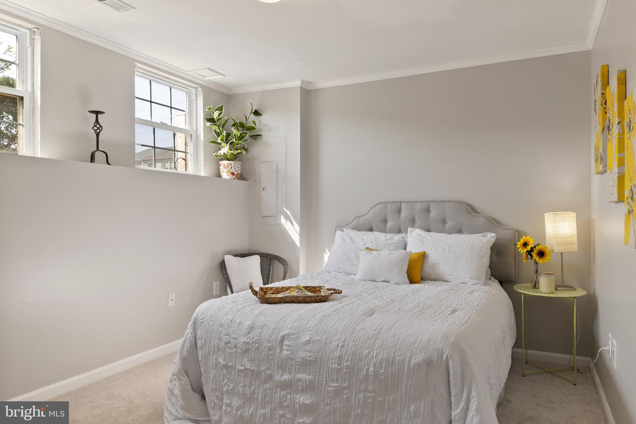 SNOWDEN RIDGE - Residential