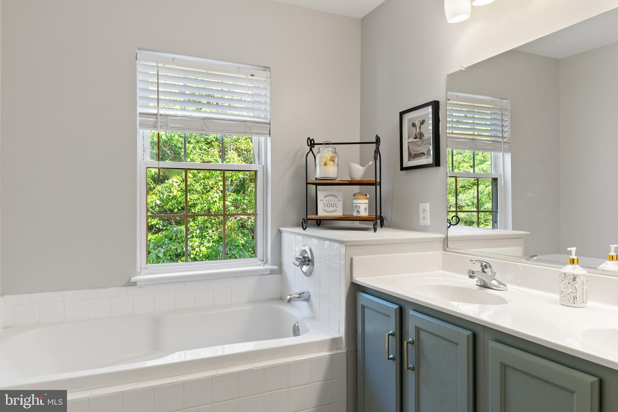 SNOWDEN RIDGE - Residential