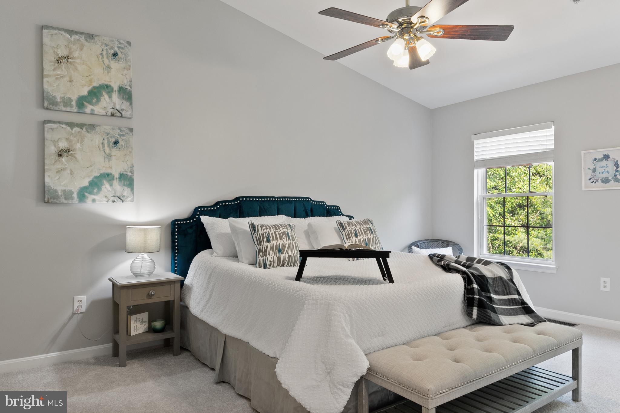 SNOWDEN RIDGE - Residential