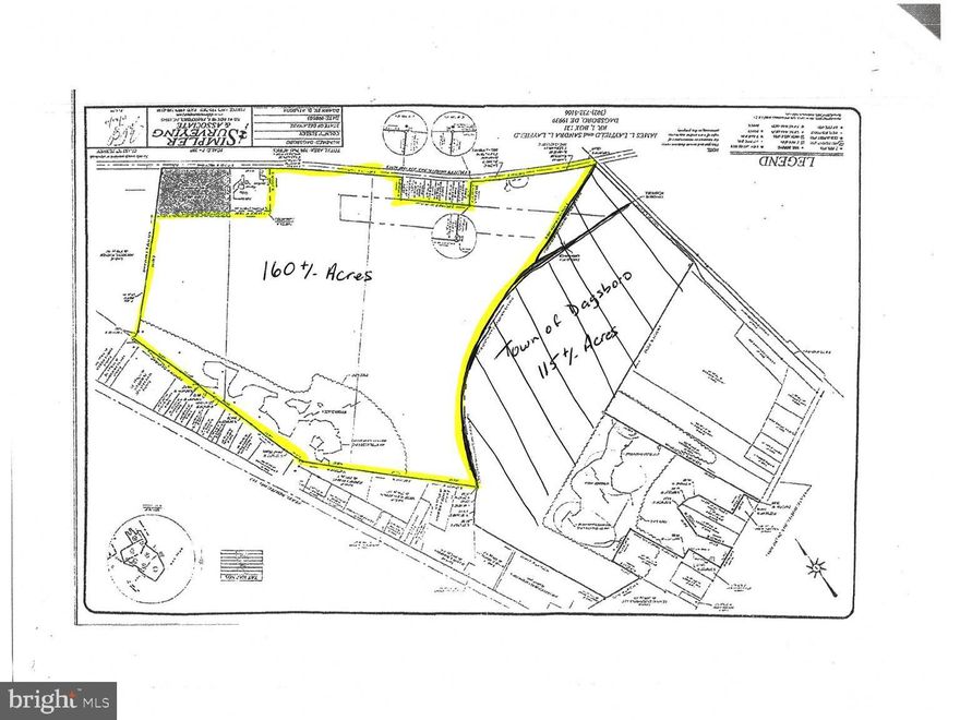 Excludes Town of Dagsboro 115+/- acres.  160+/- acres located in Sussex County  offered at $25,000 per acre.  Cropland Farm Lease 2024.   Public sewer may be available.