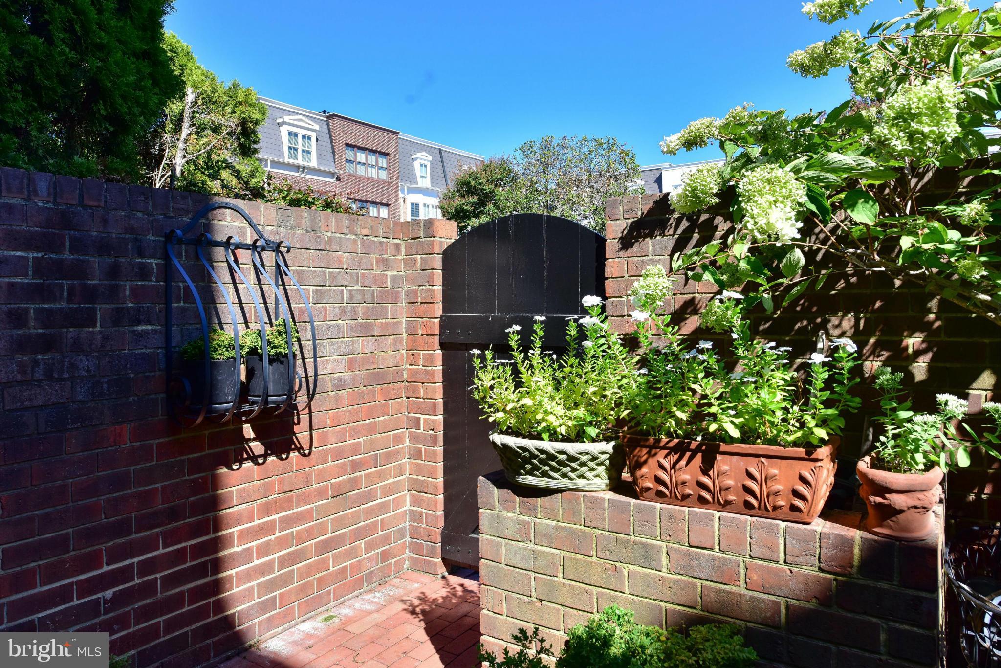 CAMERON MEWS - Residential Lease