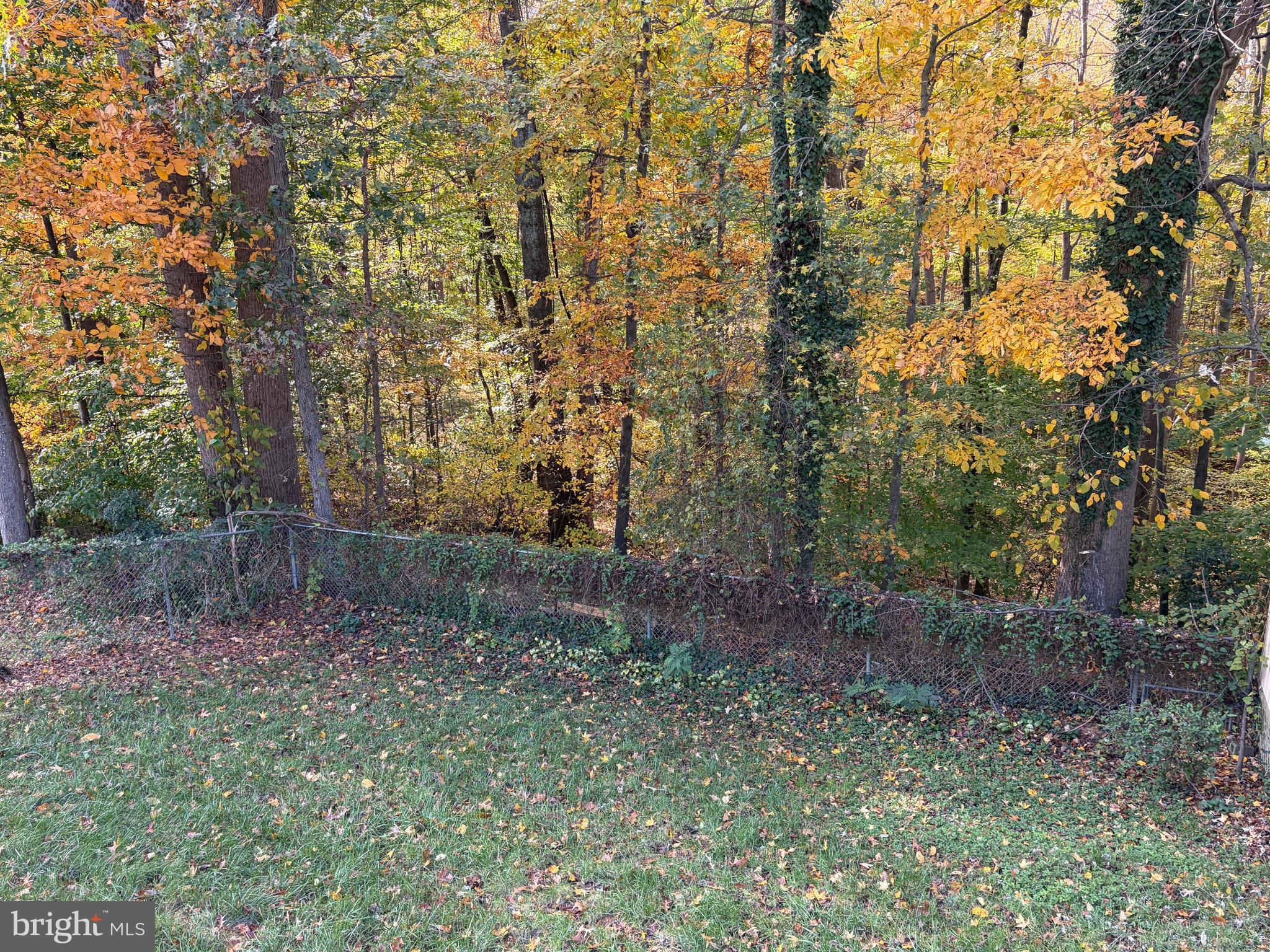 QUEENSLAND - Residential Lease