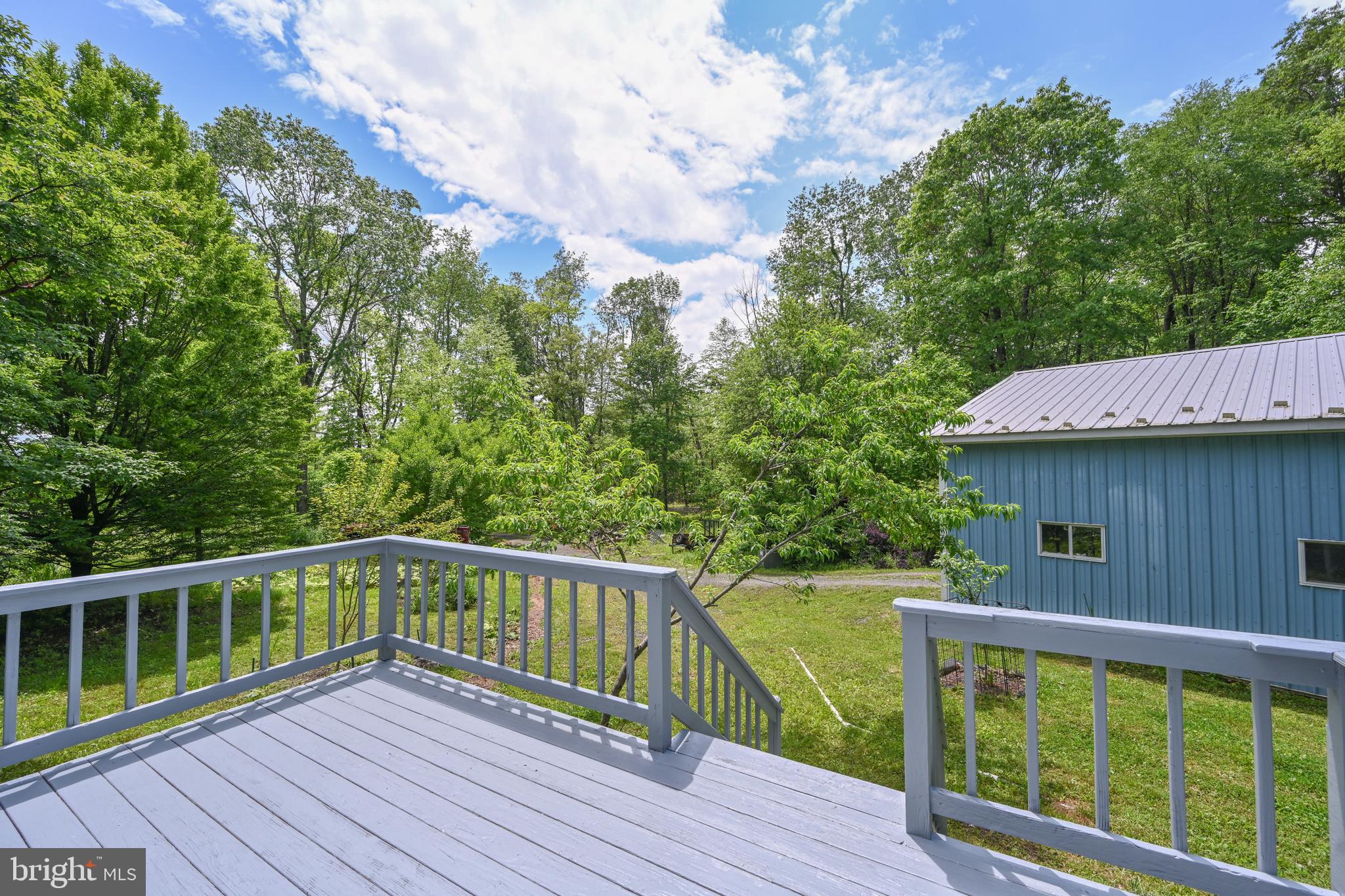 590 BEARFOOT