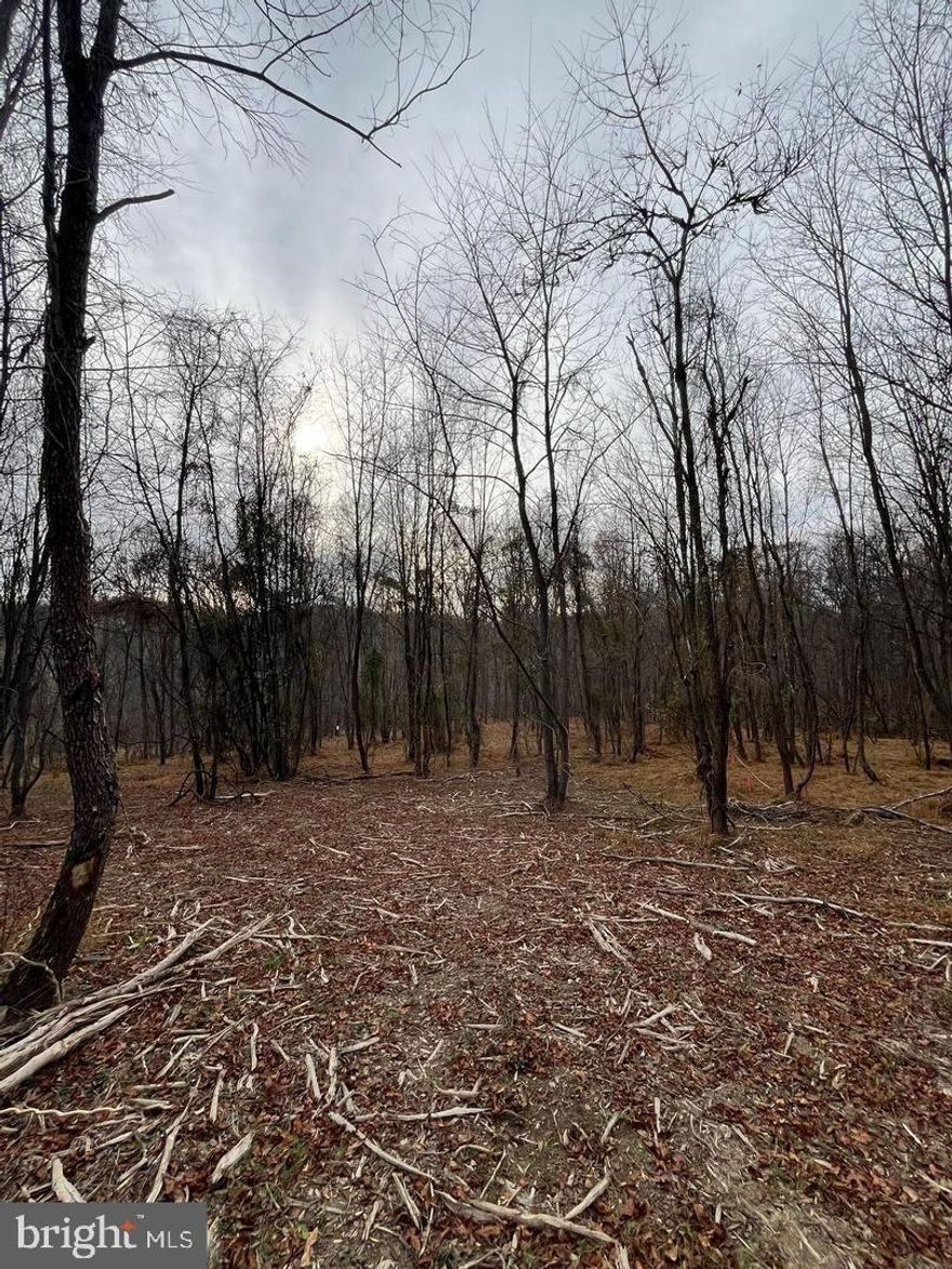 CLOSED AS 1st DRAW IN BUYERS CONSTRUCTION TO PERM LOAN… Welcome to Lot 2 of Woodville Meadows!! A beautiful 4 lot wooded community which is close to everything but offers supreme privacy on each lot! Lot 2 is the 2nd largest lot which allows for a flat home site with amazing views, potential walkout, a deep well pumping 10+gallons