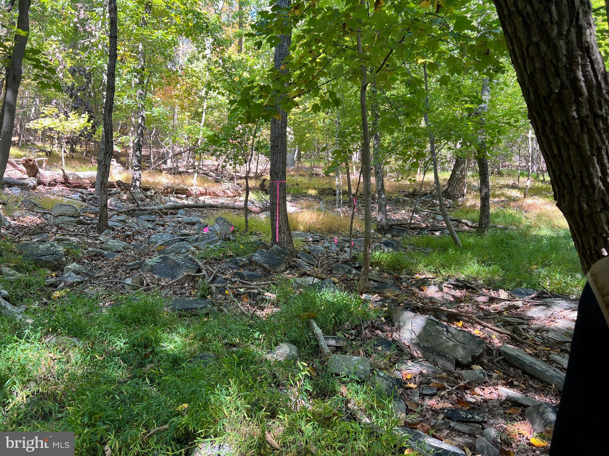 BULL RUN MOUNTAIN ESTATE - Land